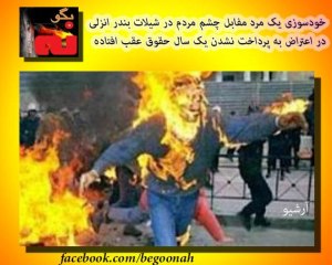 555072_154368194723428_520383666_n