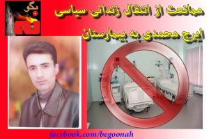 559778_153961598097421_1534547108_n