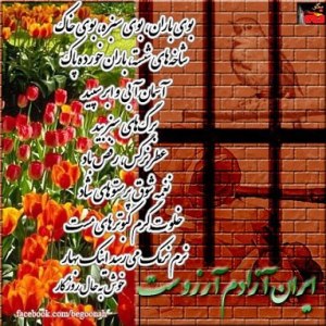 576646_156996921127222_993536824_n