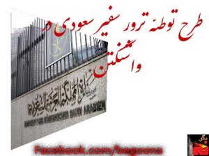 581713_155127987980782_49041128_n