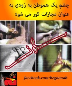 598882_155947477898833_1561740604_n