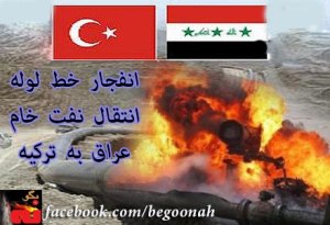 11960_169487226544858_522925199_n