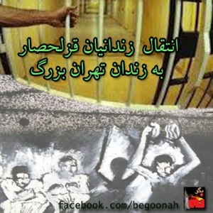 164911_166664713493776_805361119_n