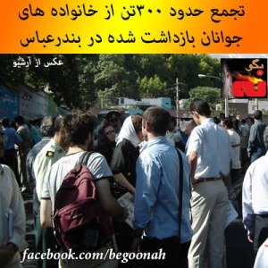 305923_163090277184553_2136989442_n