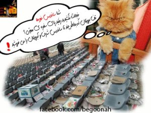 3640_168009943359253_1811334682_n