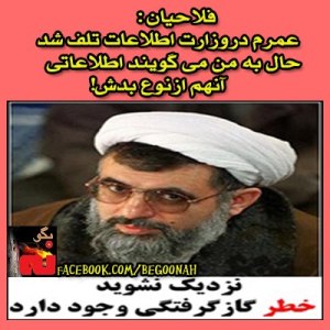 383157_164094990417415_180758387_n