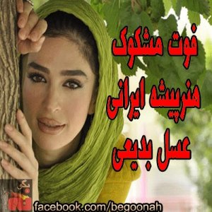 485222_161918787301702_1369986185_n