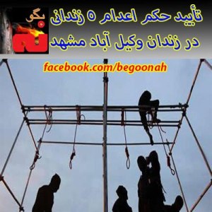 521771_163716040455310_1391564728_n