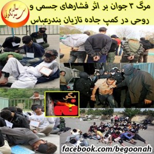 521826_166536200173294_975488023_n