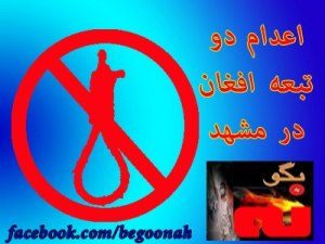 524817_168334016660179_852637931_n