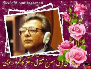 525248_168880226605558_2007414064_n