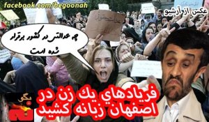 528242_169849046508676_1059524156_n