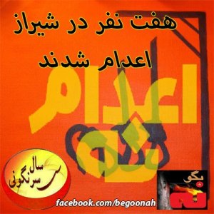 531972_166543543505893_427397246_n