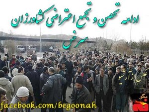 533687_165297143630533_384971394_n