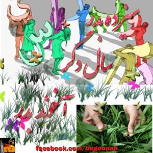 533886_161990573961190_237070726_n