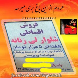 534916_166250973535150_1541700359_n