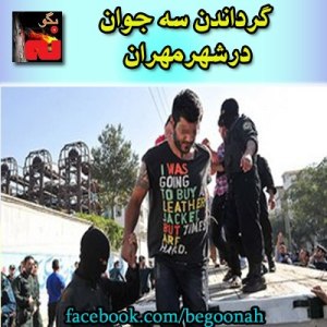 575586_169948349832079_238223833_n