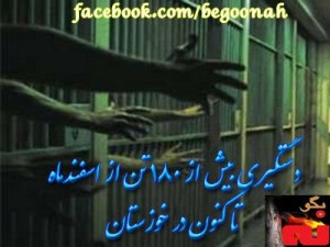 602236_165334496960131_629717034_n