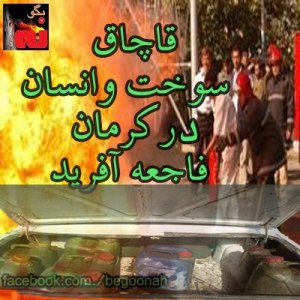 60587_163136370513277_1115626707_n