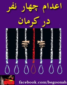 644637_169921963168051_1489338725_n