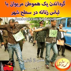 67972_166527363507511_308746823_n