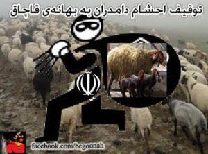 923064_168110590015855_221000845_n