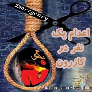 923252_170722979754616_2026020353_n