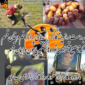 923481_170632936430287_1005648353_n