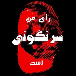 941902_170777456415835_1215609339_n