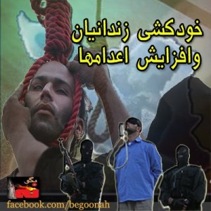 943240_170269883133259_420119905_n