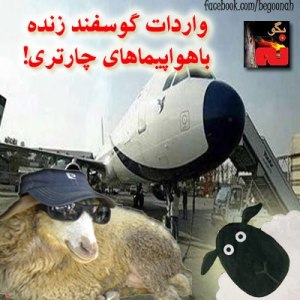 946950_170333976460183_1567951190_n