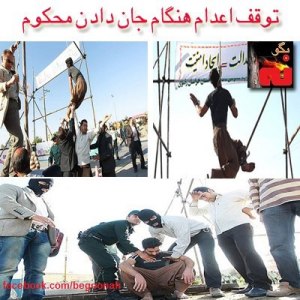 12024_173414986152082_944438771_n