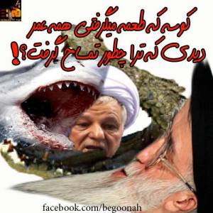 165404_179380905555490_1872678433_n