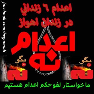 21095_175170792643168_156355163_n