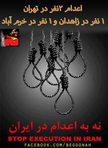 21101_176764242483823_677499908_n