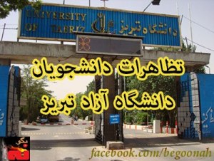 217383_175178239309090_638728646_n