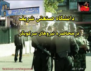 223146_183671928459721_492364021_n