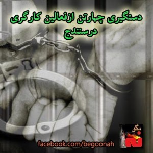 303468_171734362986811_1521885945_n