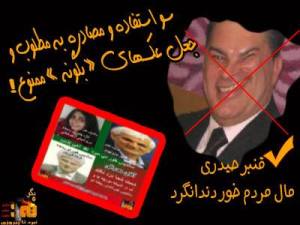 382501_181340272026220_1655899999_n