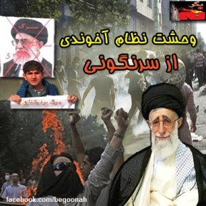 397919_172093082950939_1731796945_n