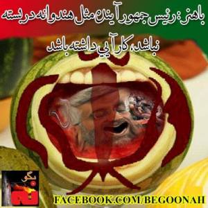 401581_181236002036647_322445713_n