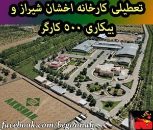 428049_175182215975359_1446286118_n