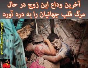 486700_175463875947193_958418916_n