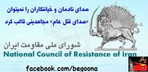 575472_172959016197679_81631670_n