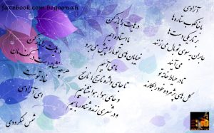 923165_174539779372936_895205728_n