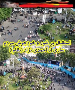 931223_173675726126008_1330177486_n