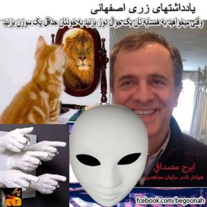 935330_173137796179801_1160273534_n