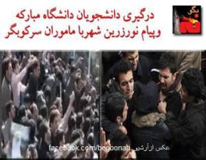 960096_181931045300476_605833775_n