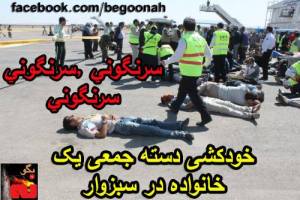 970808_177098119117102_533560313_n