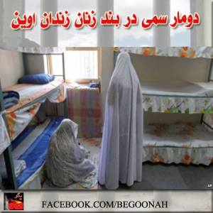 1003112_281247548686600_479097137_n